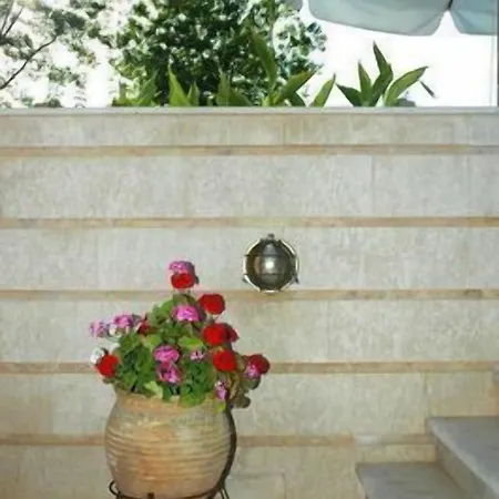 Andreolas Luxury Tsilivi (Zakynthos)
